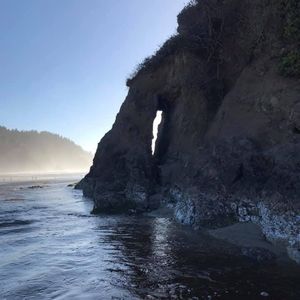 Meet your Posher, Molly